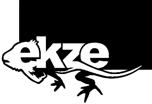 ekze-logo